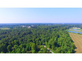 Farmland in Pulaski County, Arkansas - ABSOLUTE ARKANSAS REAL ESTATE AUCTION - 1,200+/- ACRES OFFERED IN 6 TRACTS IN PULASKI COUNTY, ARKANSAS